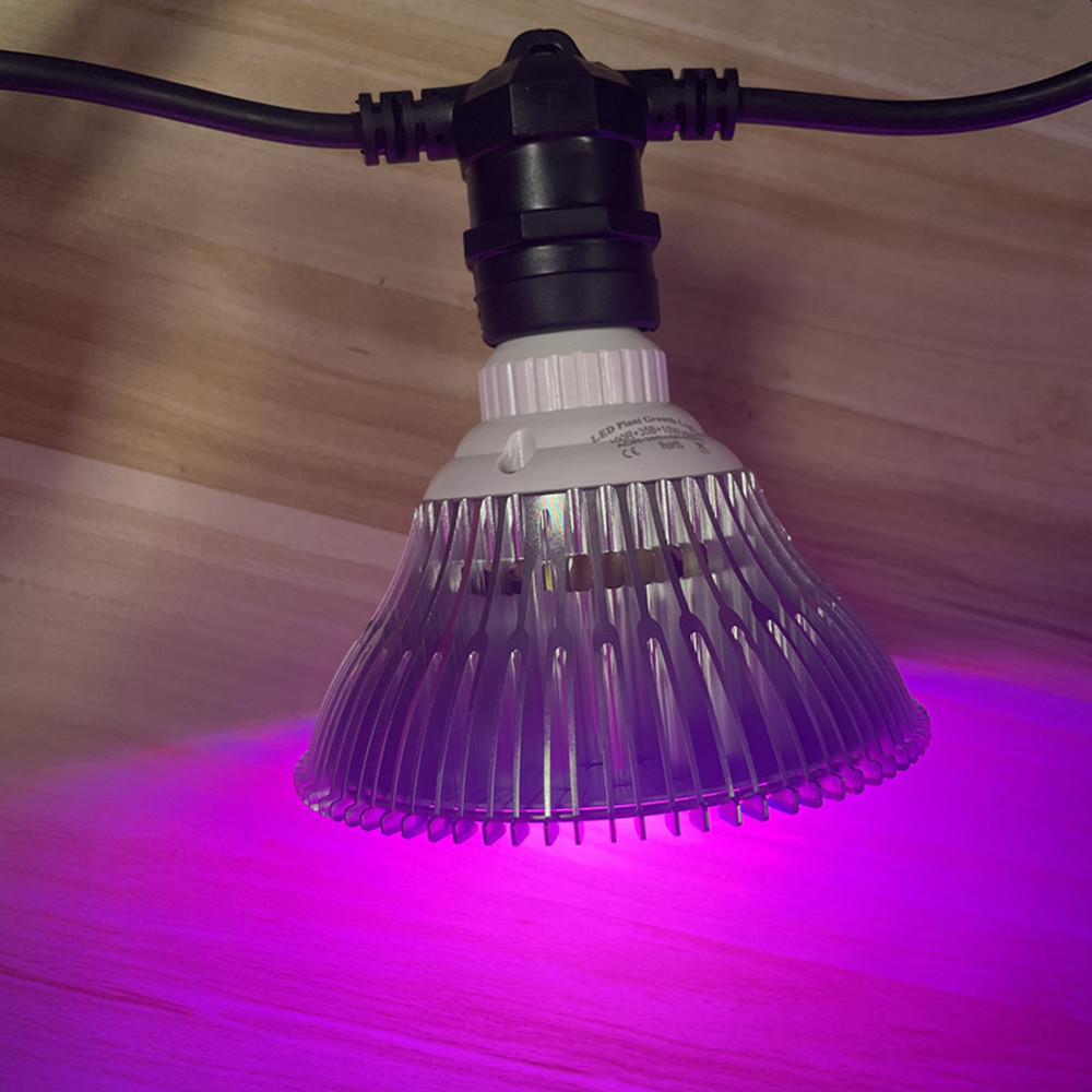 สายไฟ LED ยาว 10 เมตร เกรดเชิง - Lighting Decor Ideas บทวิจารณ์และราคา